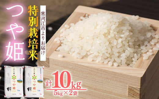 【時期選べる】特別栽培米 「つや姫」 10kg（5kg×2袋）令和5