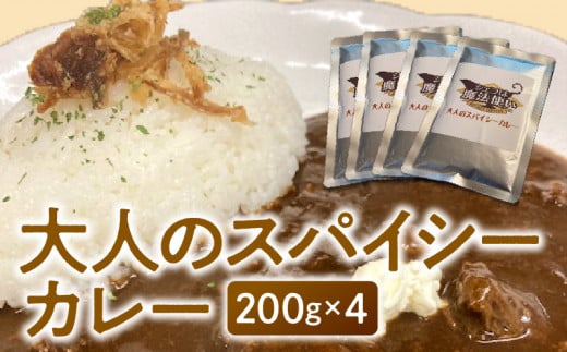 大人のスパイシーカレー200g×4_大人のスパイシーカレー200g×4_Ca019 355842 - 福岡県久留米市