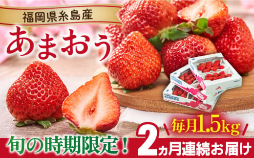 【先行予約】【全2回定期便】【2025年2月より順次発送】糸島産【春】 あまおう 6パック 毎月計1.5kg 糸島市 / 南国フルーツ株式会社 [AIK027] 1092627 - 福岡県糸島市