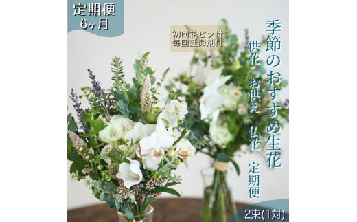 《定期便 6ヵ月》季節のおすすめ生花花束一対 お供え 供花 初回花瓶付 1093415 - 高知県高知市