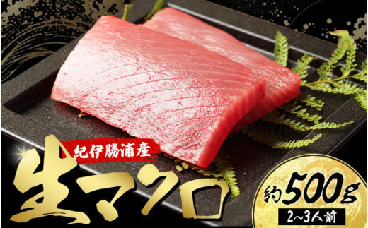 産地直送！ 紀伊勝浦産 天然生マグロ 約250g(1柵) 冷蔵便 ※ビンチョウ