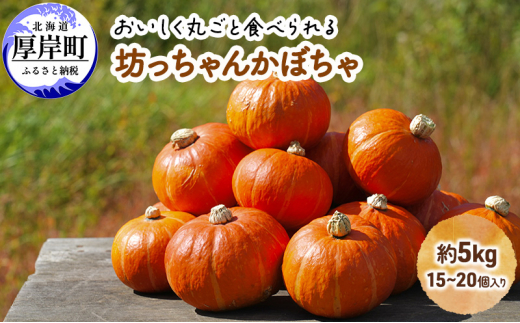 厚岸ハスカ 坊ちゃんかぼちゃ 約5kg（15～20個入り） [№5863-1000]