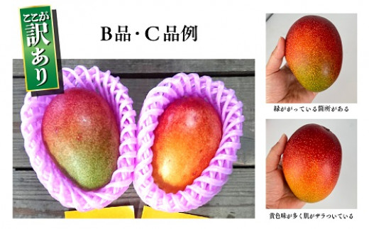訳あり 完熟 マンゴー 2L 5玉 濃厚 高級 宮崎 果物 フルーツ 贈答
