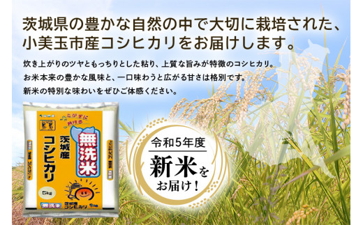 【令和5年産新米】無洗米 コシヒカリ 10kg こしひかり 米 白米 茨城県産 新米 お弁当 おにぎり エコ 47-K|サンクスラボ株式会社