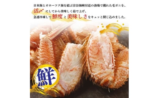 北海道 稚内産 毛ガニ 2尾セット ( 400g ～ 500g × 2尾 ) ボイル済み