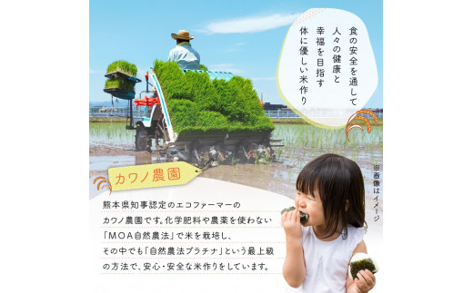 熊本県宇土市のふるさと納税 70-258_4　＼9月中発送可／カワノ農園　令和5年産米　無農薬栽培！「森のくまさん」三分搗き10kg