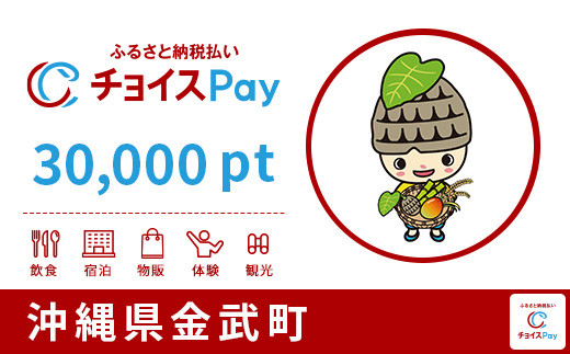 金武町チョイスPay 30,000pt（1pt＝1円）