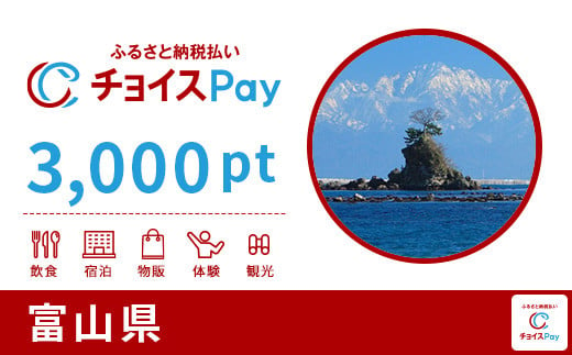 富山県チョイスPay 3,000pt（1pt＝1円）