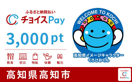 高知市チョイスPay 3,000pt（1pt＝1円）