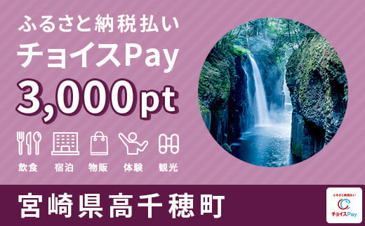 高千穂町 チョイスPay 3,000ポイント（1pt＝1円）
