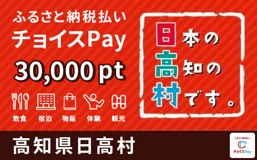 日高村 チョイスPay 30,000ポイント