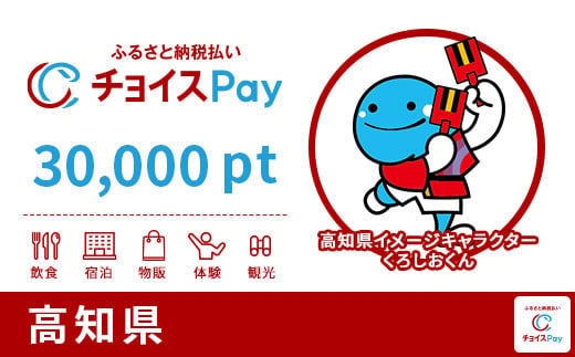 高知県チョイスPay 30,000pt（1pt＝1円）