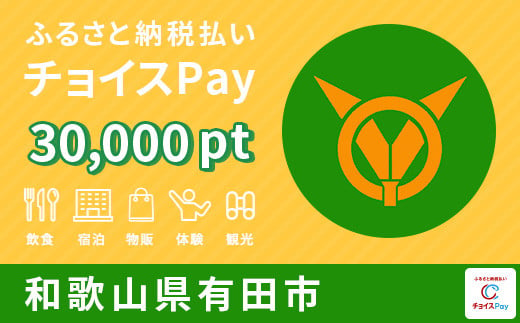 有田市チョイスPay 30,000pt（1pt＝1円）
