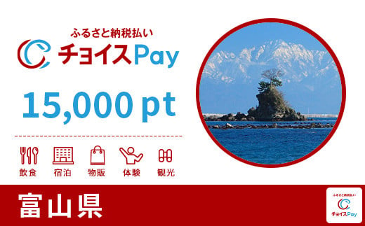 富山県チョイスPay 15,000pt（1pt＝1円）