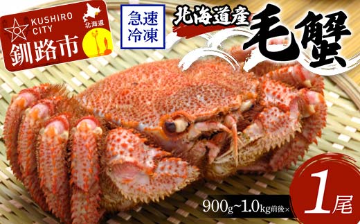 北海道産毛蟹900g~1.0kg前後×1尾 北海道 カニ 毛ガニ 毛蟹 かに かに味噌 急速冷凍 活蟹 活毛蟹 活毛ガニ F4F-3258 1109356 - 北海道釧路市