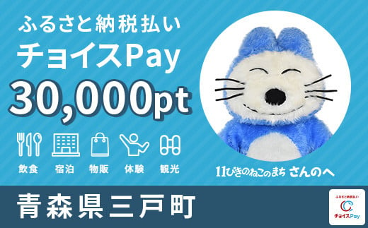 三戸町チョイスPay 30,000pt（1pt＝1円）