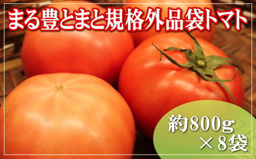 まる豊とまと規格外品袋トマト（800g×8袋） 1101067 - 広島県神石高原町
