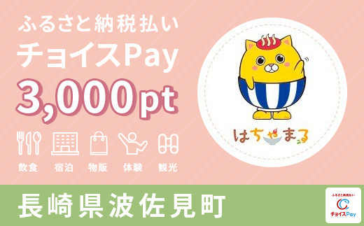 ZZ05 チョイスPay 3,000pt（1pt＝1円）