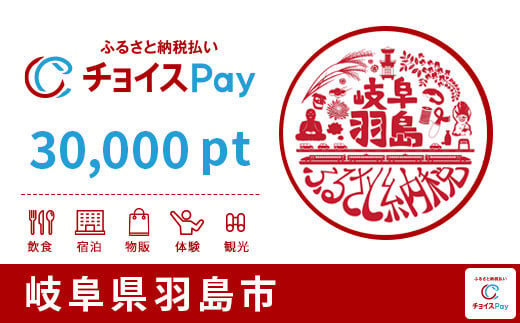 羽島市チョイスPay30,000pt（1pt＝1円）