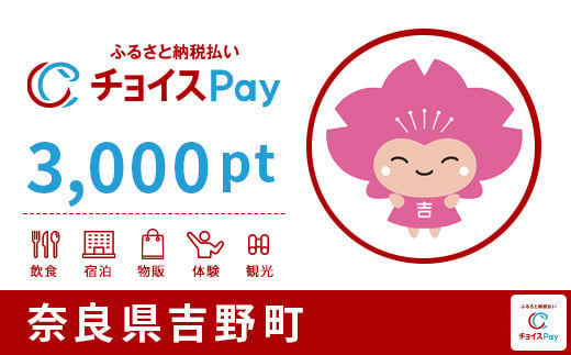 吉野町チョイスPay 3,000pt(1pt=1円)