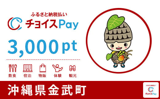 金武町チョイスPay 3,000pt（1pt＝1円）