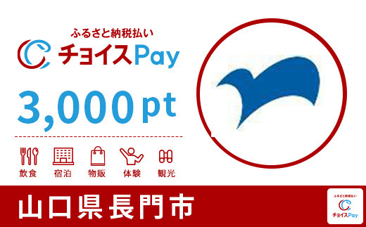 長門市チョイスPay 3,000pt（1pt＝1円）