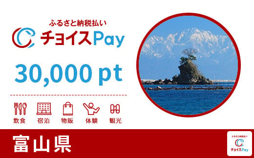 富山県チョイスPay 30,000pt（1pt＝1円）