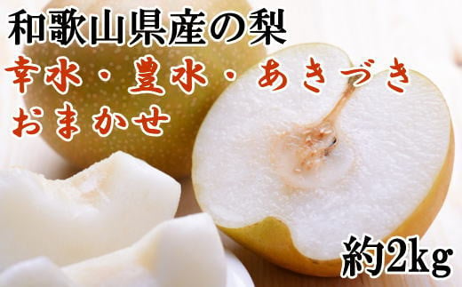 [数量限定]和歌山県産の梨約2kg(品種おまかせ)  1094073 - 和歌山県太地町