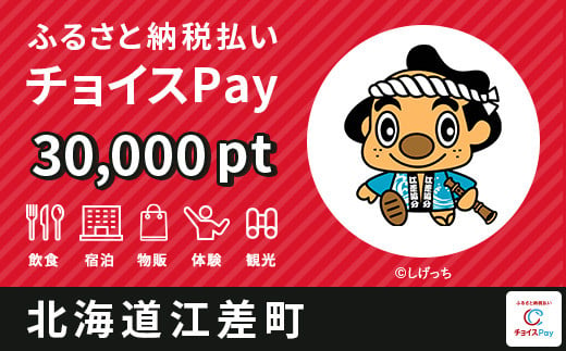 江差町チョイスPay 30,000pt（1pt＝1円）