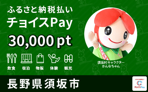 須坂市 チョイスPay30,000ポイント