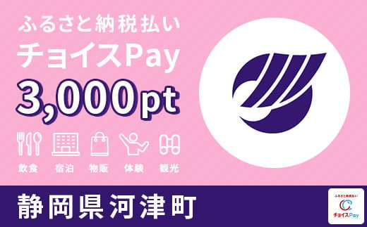 河津町チョイスPay 3,000pt（1pt＝1円）