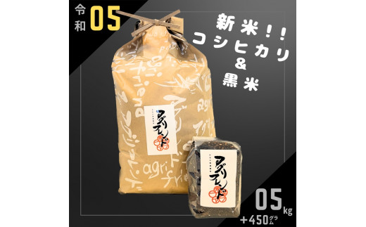 令和5年度産】蛍舞う綺麗な水で育てたお米 有機肥料米 コシヒカリ(精米