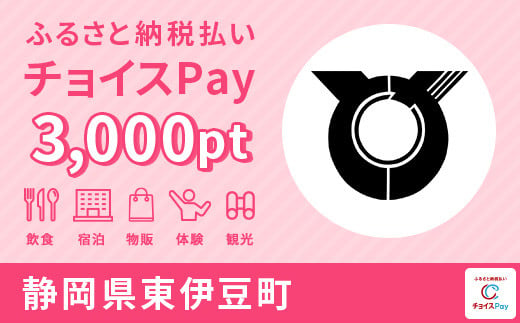 東伊豆町チョイスPay 3,000pt（1pt＝1円）