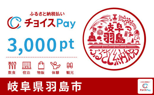 羽島市チョイスPay 3,000pt（1pt＝1円）
