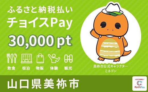 美祢市チョイスPay 30,000pt（1pt＝1円）