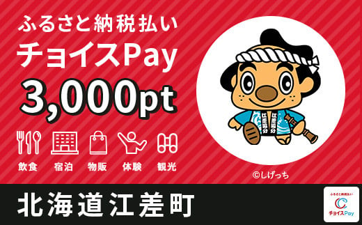 江差町チョイスPay 3,000pt（1pt＝1円）