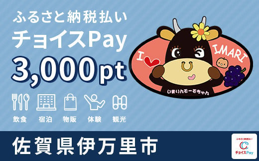 伊万里市チョイスPay 3,000pt（1pt＝1円）