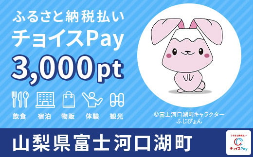 富士河口湖町チョイスPay 3,000pt（1pt＝1円）
