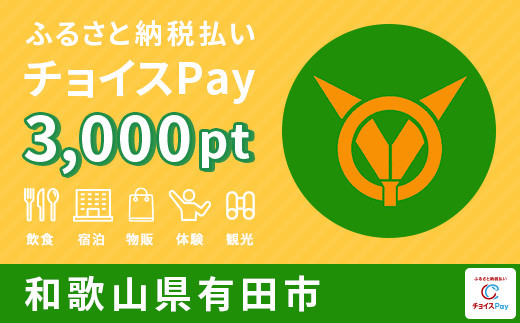 有田市チョイスPay 3,000pt(1pt=1円)