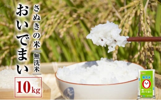 [№5341-0157]さぬきの米　おいでまい（無洗米）10kg 786793 - 香川県丸亀市