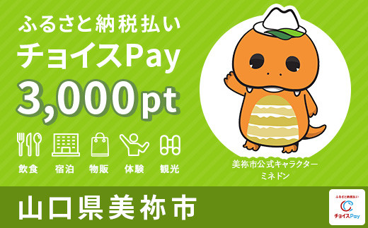美祢市チョイスPay 3,000pt（1pt＝1円）