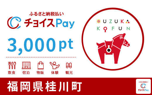 桂川町チョイスPay 3,000pt（1pt＝1円）