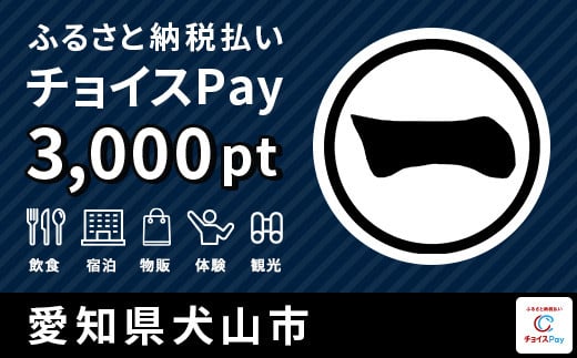 犬山市チョイスPay 3,000pt（1pt＝1円）