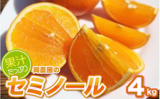 サイズL以上(L・2L・3L)岡農園のセミノール4kg[2026年3月下旬から4月下旬までに順次発送] / セミノール みかん 蜜柑 数量限定 ミカン