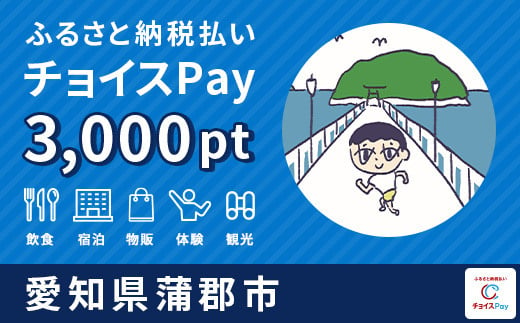 蒲郡市チョイスPay 3,000pt（1pt＝1円）