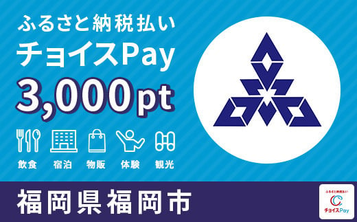 福岡市チョイスPay 3,000pt(1pt=1円)