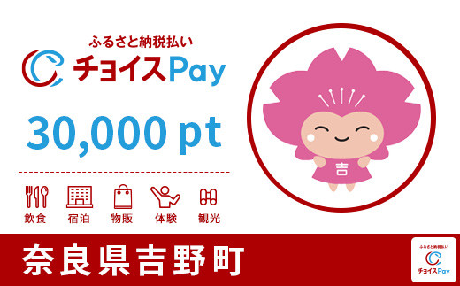吉野町チョイスPay 30,000pt（1pt＝1円）