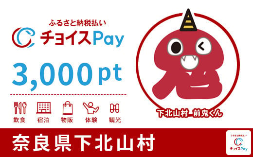 下北山村チョイスPay 3,000pt（1pt＝1円）