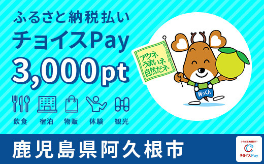 阿久根市チョイスPay 3,000pt（1pt＝1円）