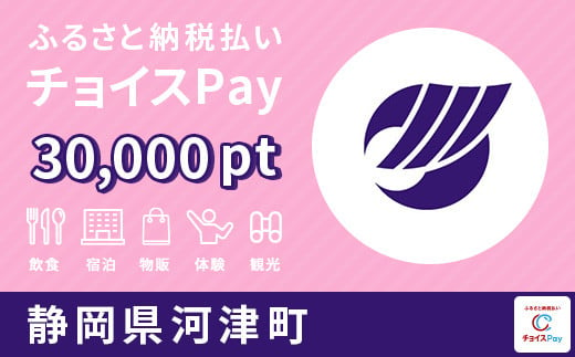河津町チョイスPay 30,000pt（1pt＝1円）